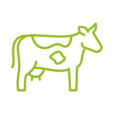 Prolactal Organic Cow Products